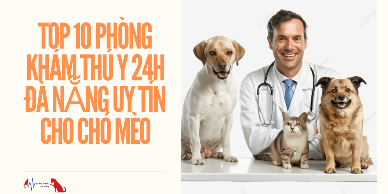 Top 10 phòng khám thú y 24h Đà Nẵng uy tín