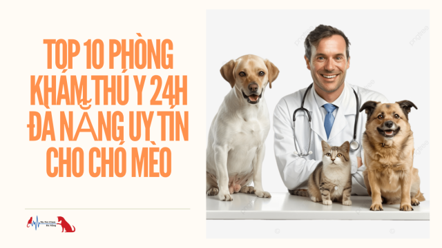 Top 10 phòng khám thú y 24h Đà Nẵng uy tín
