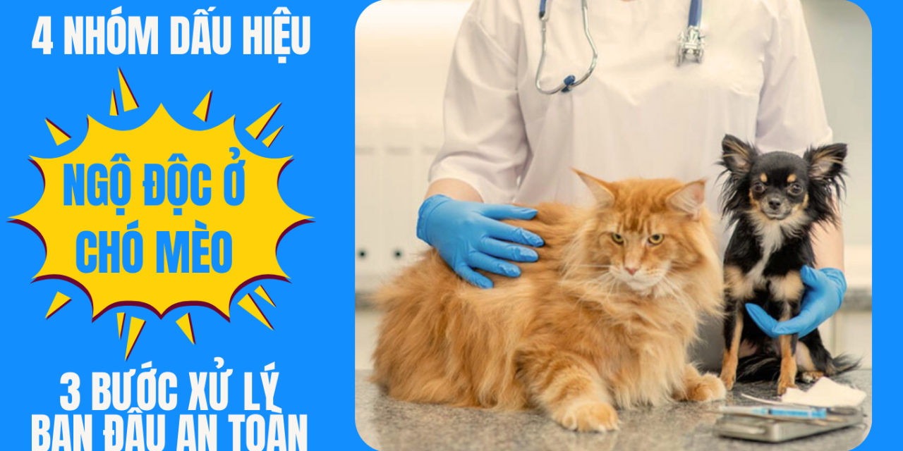 Ngộ độc ở chó mèo: 4 nhóm dấu hiệu & 3 bước xử lý ban đầu an toàn